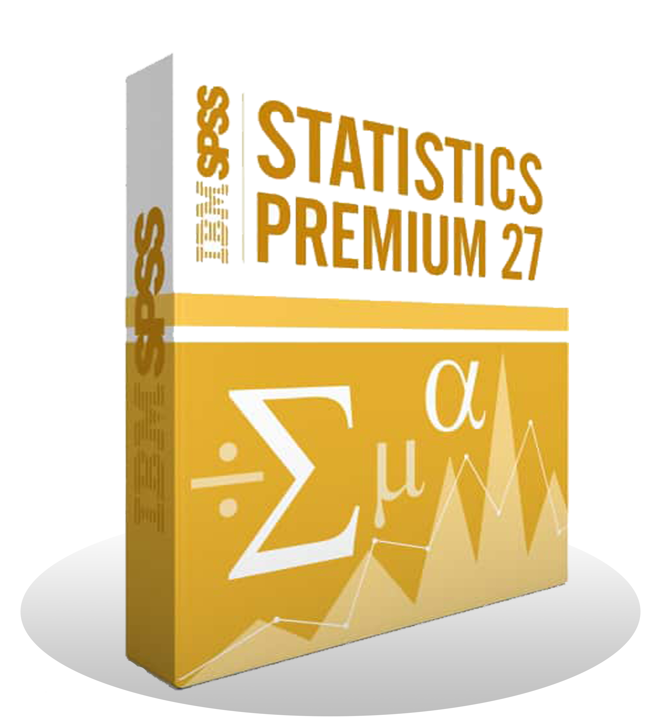 IBM SPSS Statistics 27 IF026