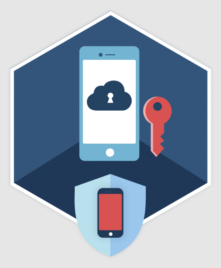 ElcomSoft Phone Breaker