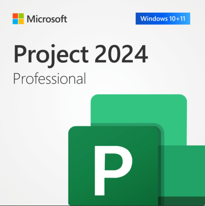 Project Professional 2024