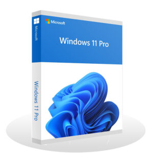 Microsoft Windows 11 Professional [Lifetime License]